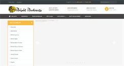 Desktop Screenshot of buyukbaharatci.com